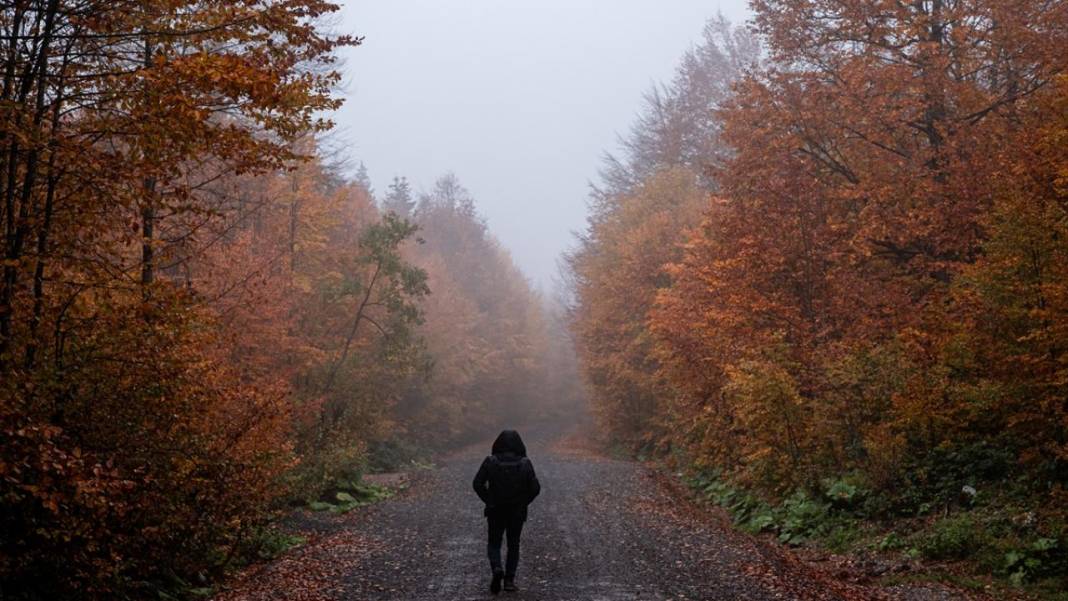 Kartepe’de sonbahar tefekkürü 2