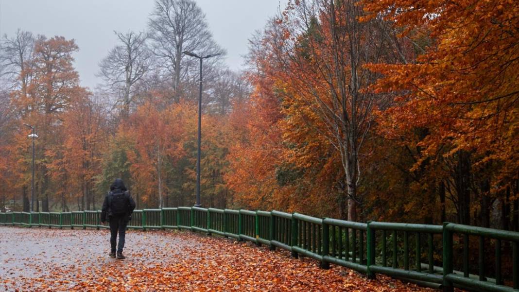 Kartepe’de sonbahar tefekkürü 3