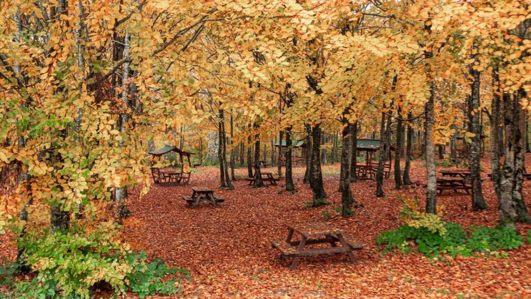 Kartepe’de sonbahar tefekkürü 4