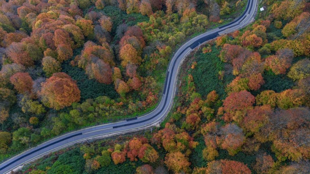 Kartepe’de sonbahar tefekkürü 5