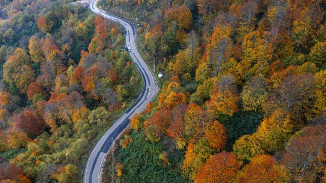 Kartepe’de sonbahar tefekkürü 6