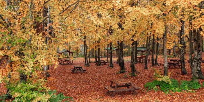 Kartepe’de sonbahar tefekkürü