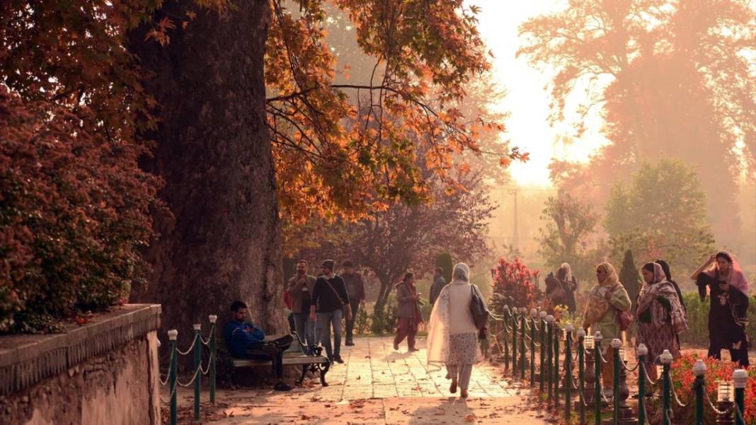 Cammu Keşmir'de sonbahar renkleri 11