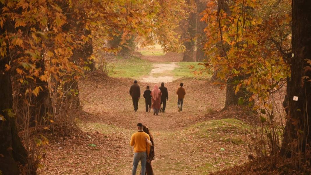 Cammu Keşmir'de sonbahar renkleri 13