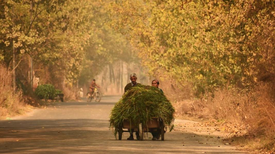 Cammu Keşmir'de sonbahar renkleri 3