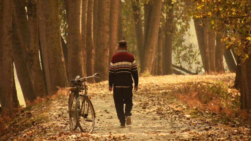 Cammu Keşmir'de sonbahar renkleri 4