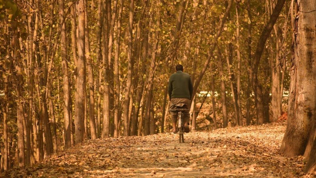 Cammu Keşmir'de sonbahar renkleri 5