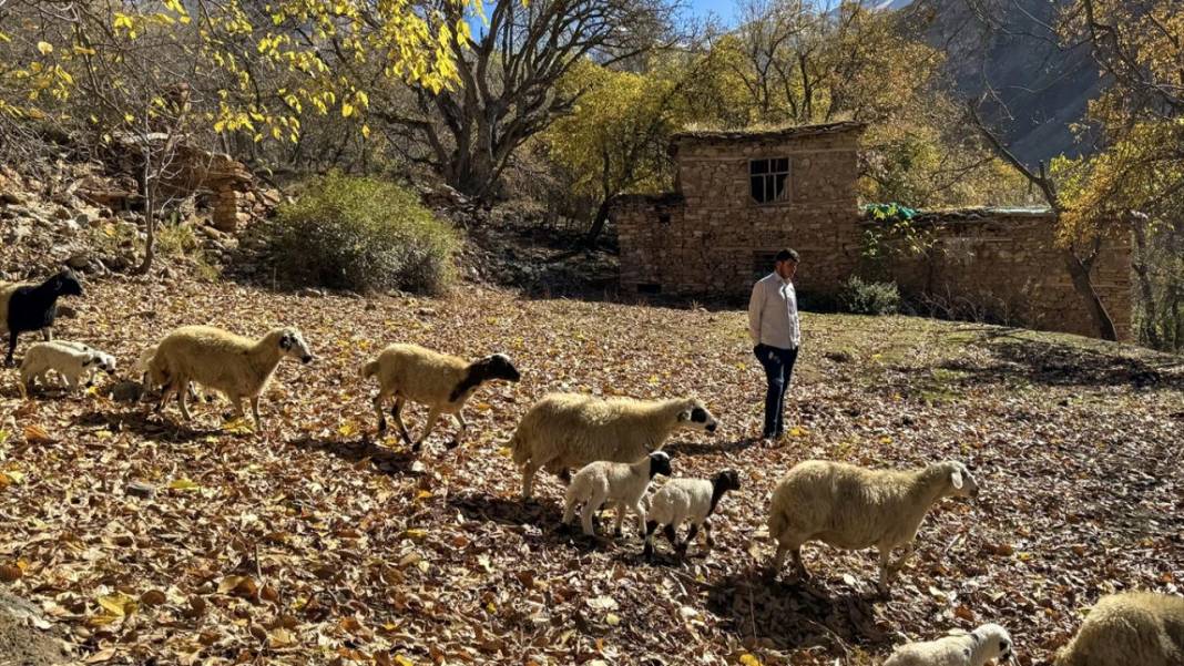 Bahçesaray’da sonbahar 15