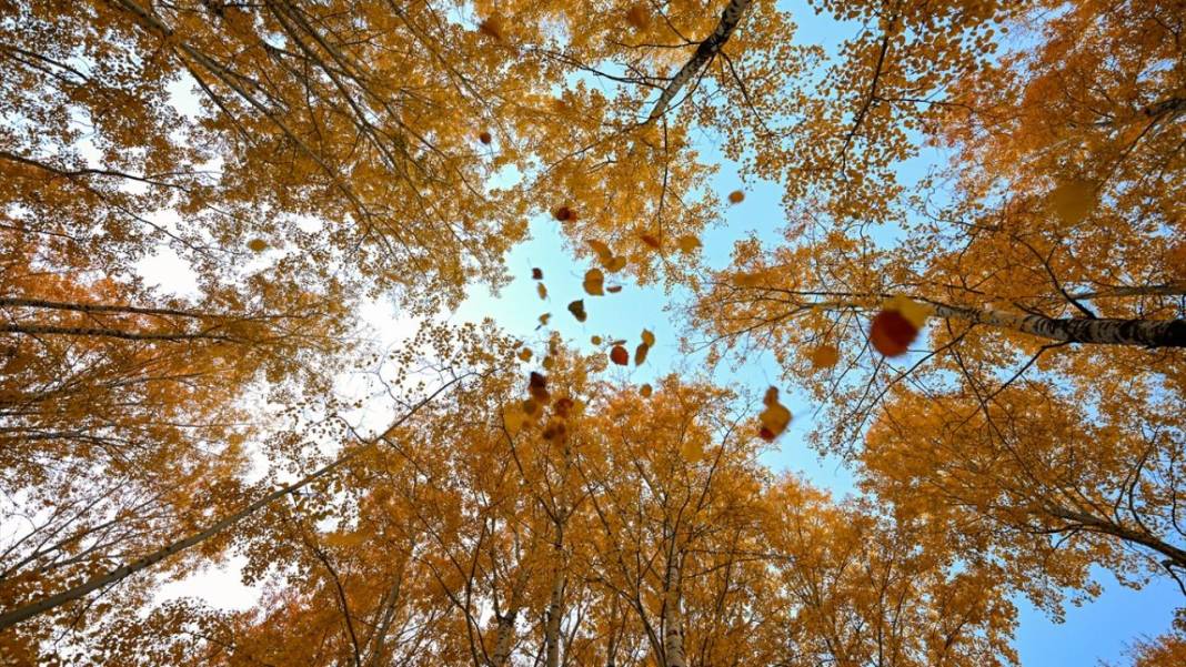 Bahçesaray’da sonbahar 2