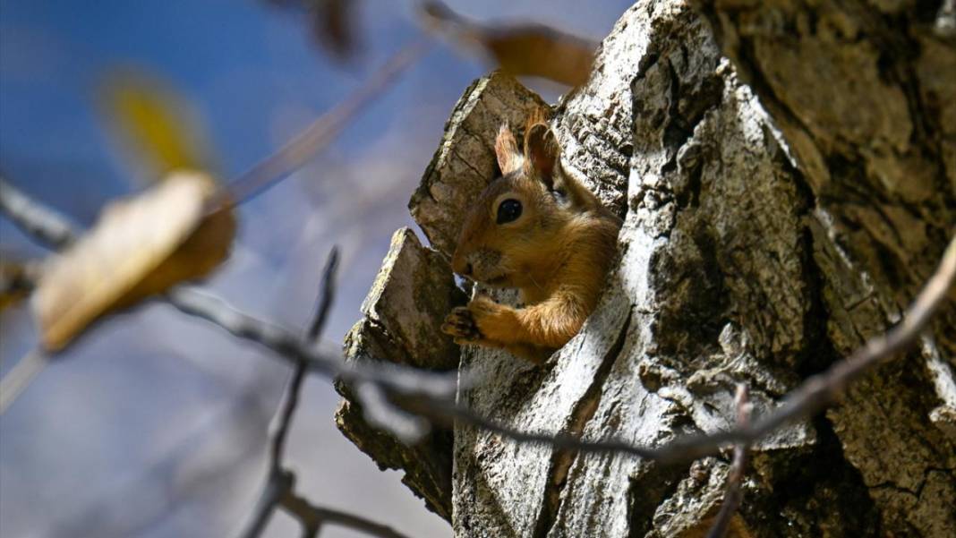 Bahçesaray’da sonbahar 3