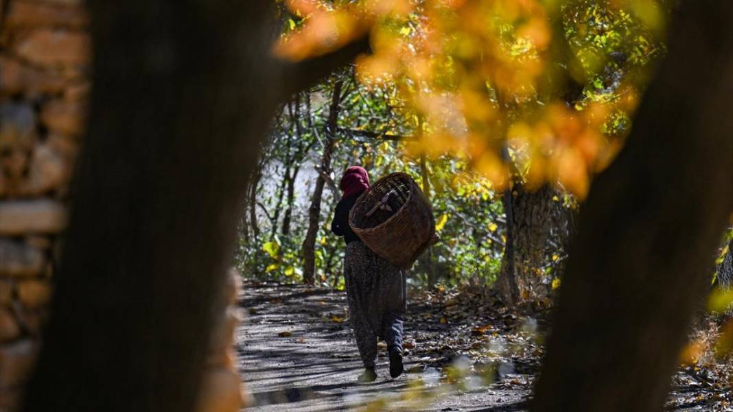Bahçesaray’da sonbahar 4