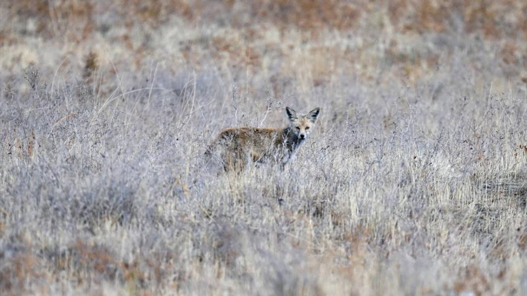 Bahçesaray’da sonbahar 5