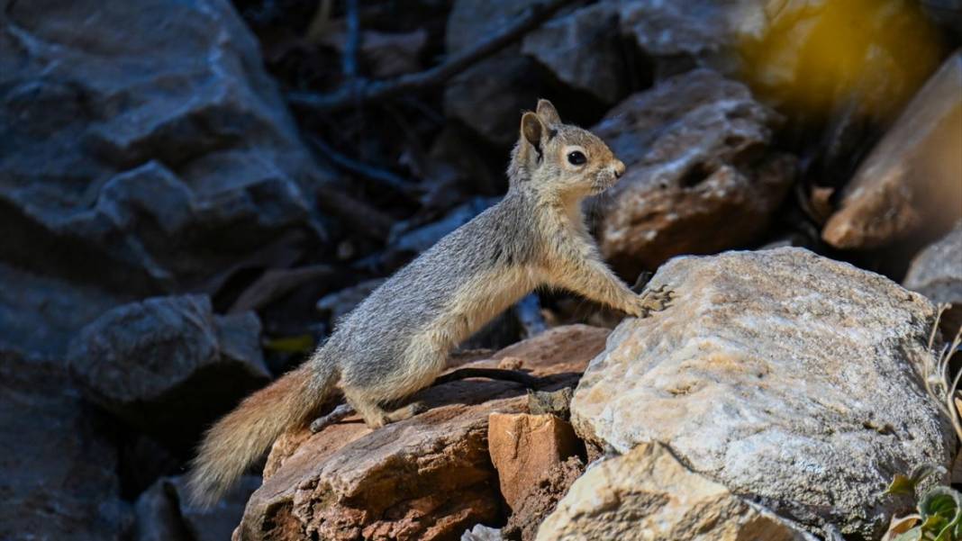 Bahçesaray’da sonbahar 7