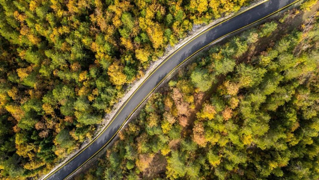 Güzeldere Şelalesi Tabiat Parkı'nda sonbahar renkleri 1