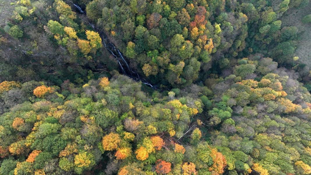 Güzeldere Şelalesi Tabiat Parkı'nda sonbahar renkleri 10