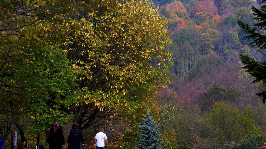 Güzeldere Şelalesi Tabiat Parkı'nda sonbahar renkleri 11