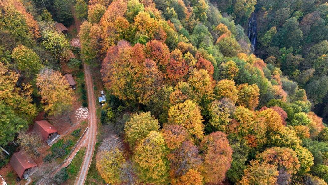 Güzeldere Şelalesi Tabiat Parkı'nda sonbahar renkleri 13
