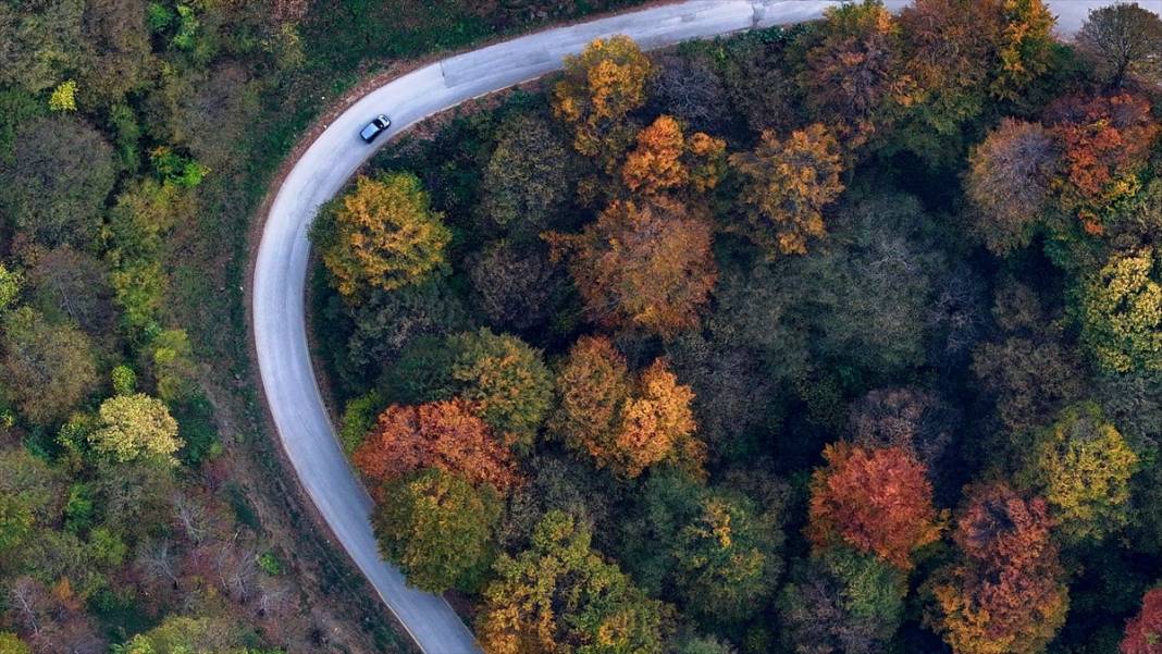 Güzeldere Şelalesi Tabiat Parkı'nda sonbahar renkleri 14