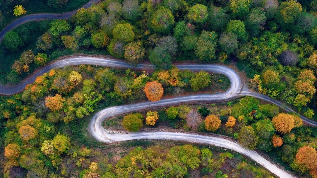 Güzeldere Şelalesi Tabiat Parkı'nda sonbahar renkleri 15