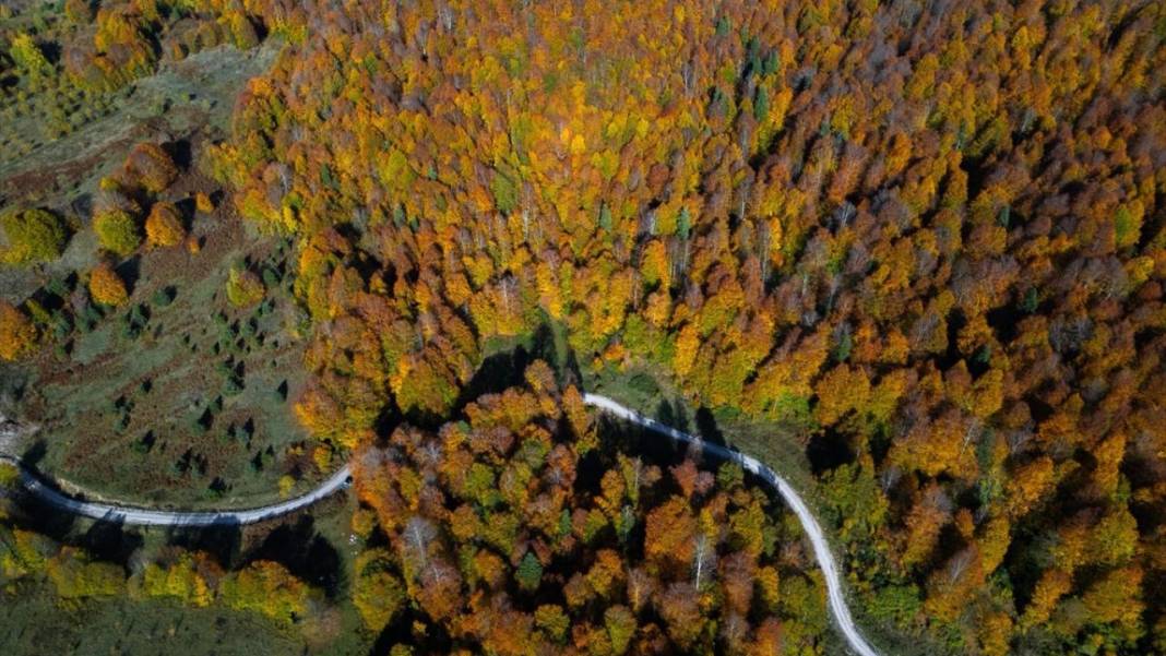 Güzeldere Şelalesi Tabiat Parkı'nda sonbahar renkleri 2