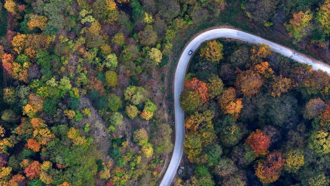 Güzeldere Şelalesi Tabiat Parkı'nda sonbahar renkleri 3