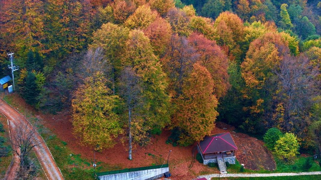 Güzeldere Şelalesi Tabiat Parkı'nda sonbahar renkleri 4