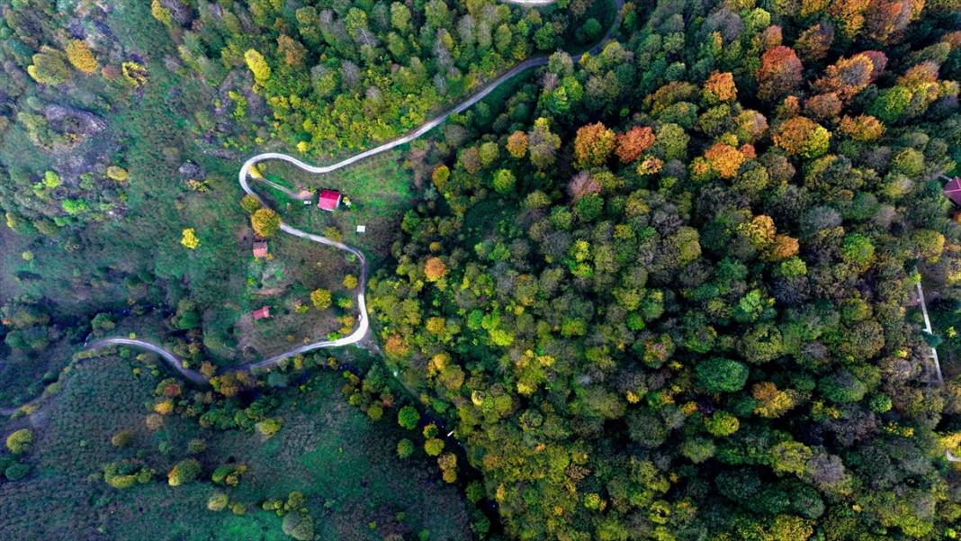 Güzeldere Şelalesi Tabiat Parkı'nda sonbahar renkleri 6
