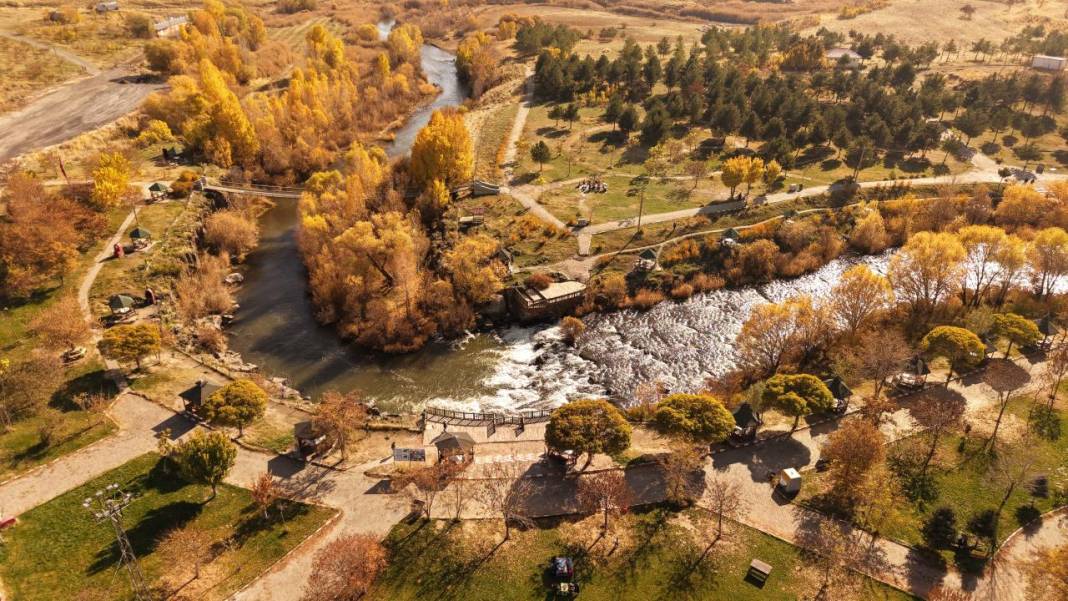 İnci Kefali Tabiat Parkı'nda sarı sonbahar 1