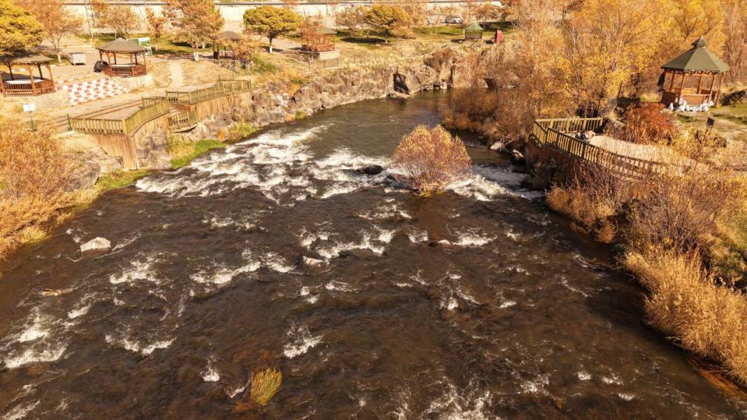 İnci Kefali Tabiat Parkı'nda sarı sonbahar 11