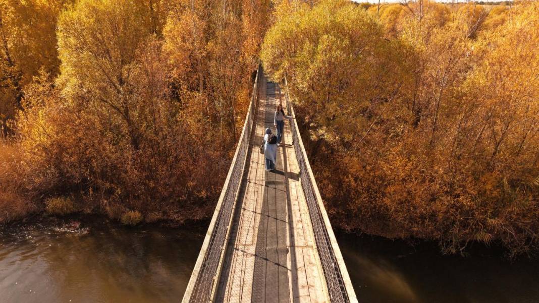 İnci Kefali Tabiat Parkı'nda sarı sonbahar 4