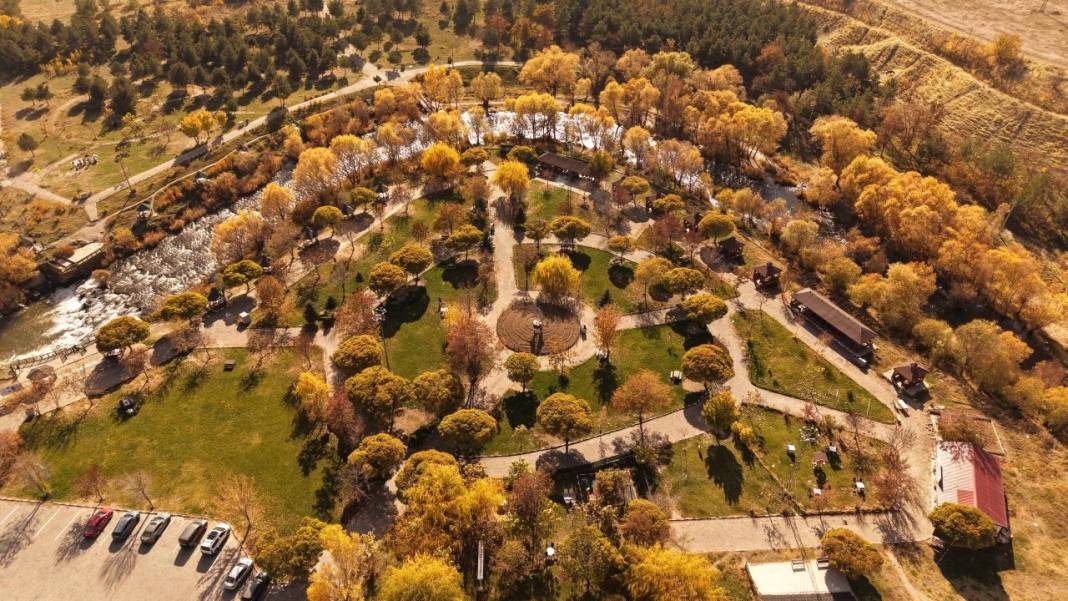 İnci Kefali Tabiat Parkı'nda sarı sonbahar 5