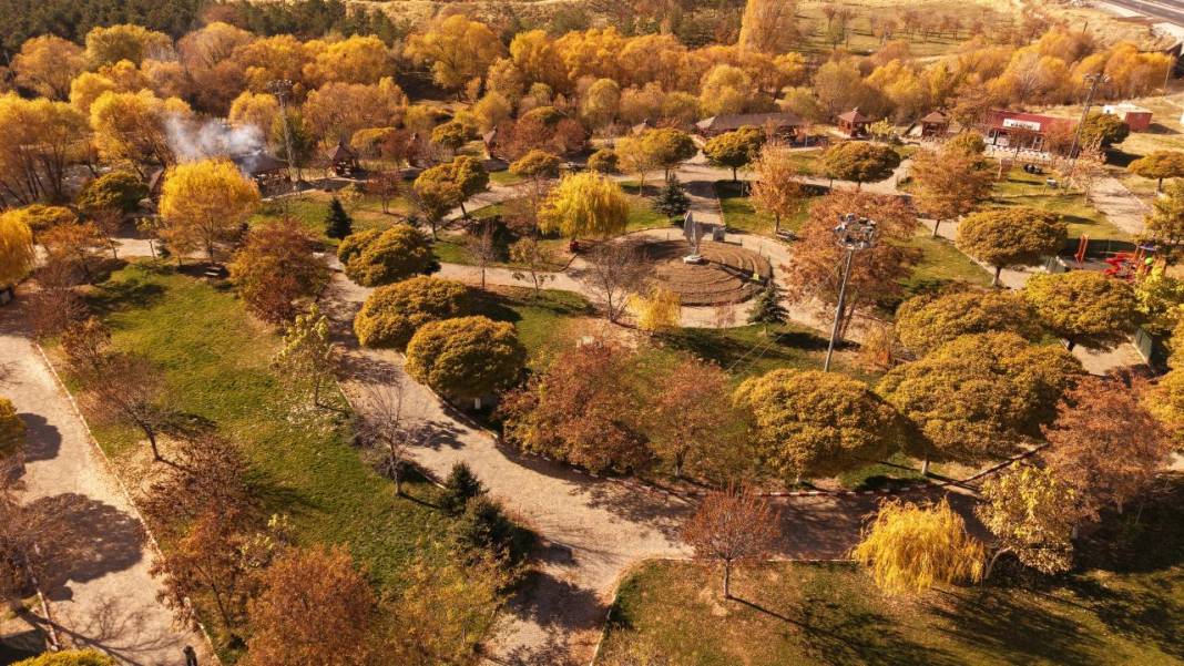 İnci Kefali Tabiat Parkı'nda sarı sonbahar 6