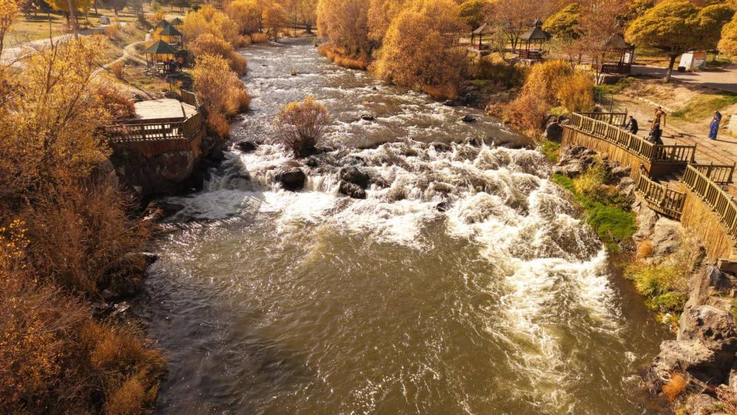 İnci Kefali Tabiat Parkı'nda sarı sonbahar 7