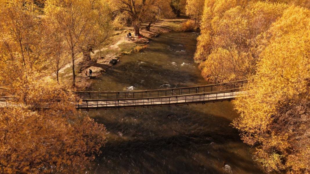 İnci Kefali Tabiat Parkı'nda sarı sonbahar 8