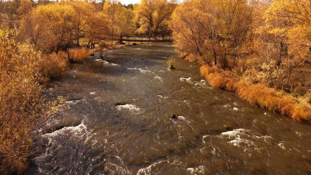 İnci Kefali Tabiat Parkı'nda sarı sonbahar 9