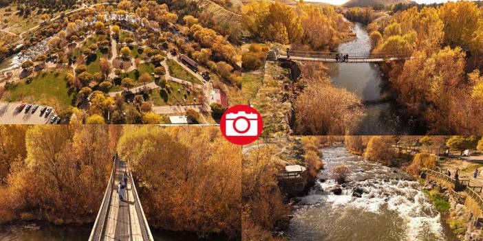 İnci Kefali Tabiat Parkı'nda sarı sonbahar