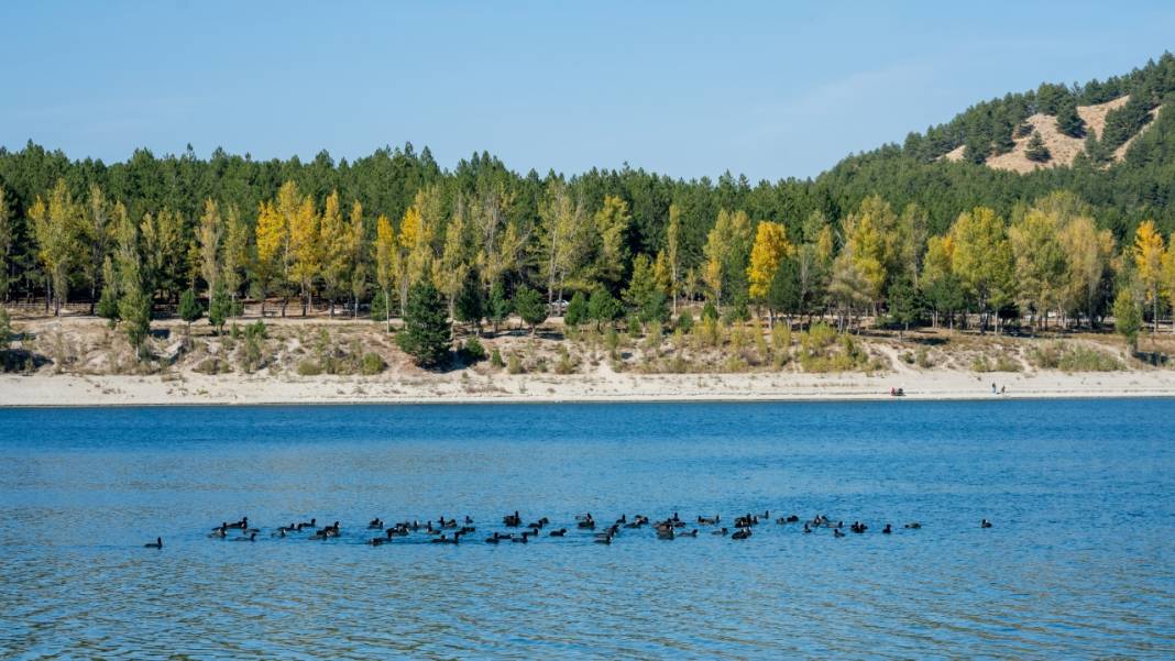 Isparta Gölcük Tabiat Parkı'nda sonbahar tefekkürü 10