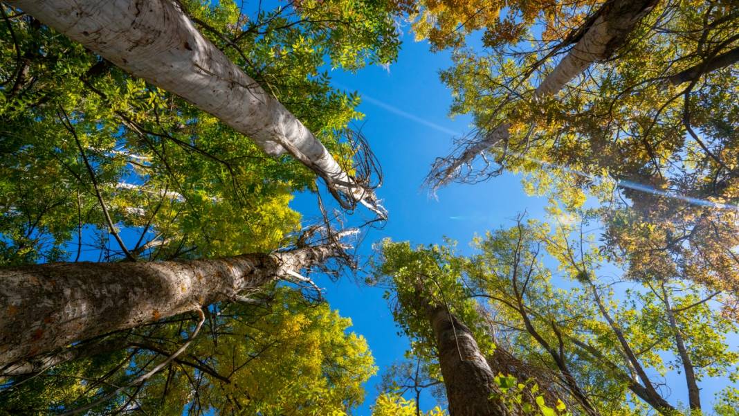 Isparta Gölcük Tabiat Parkı'nda sonbahar tefekkürü 8