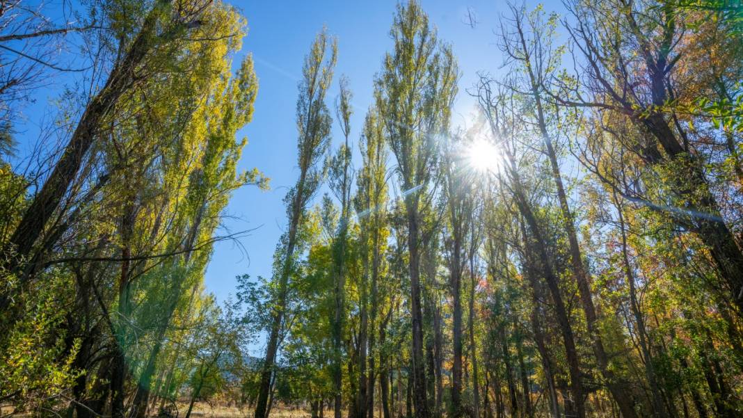 Isparta Gölcük Tabiat Parkı'nda sonbahar tefekkürü 9