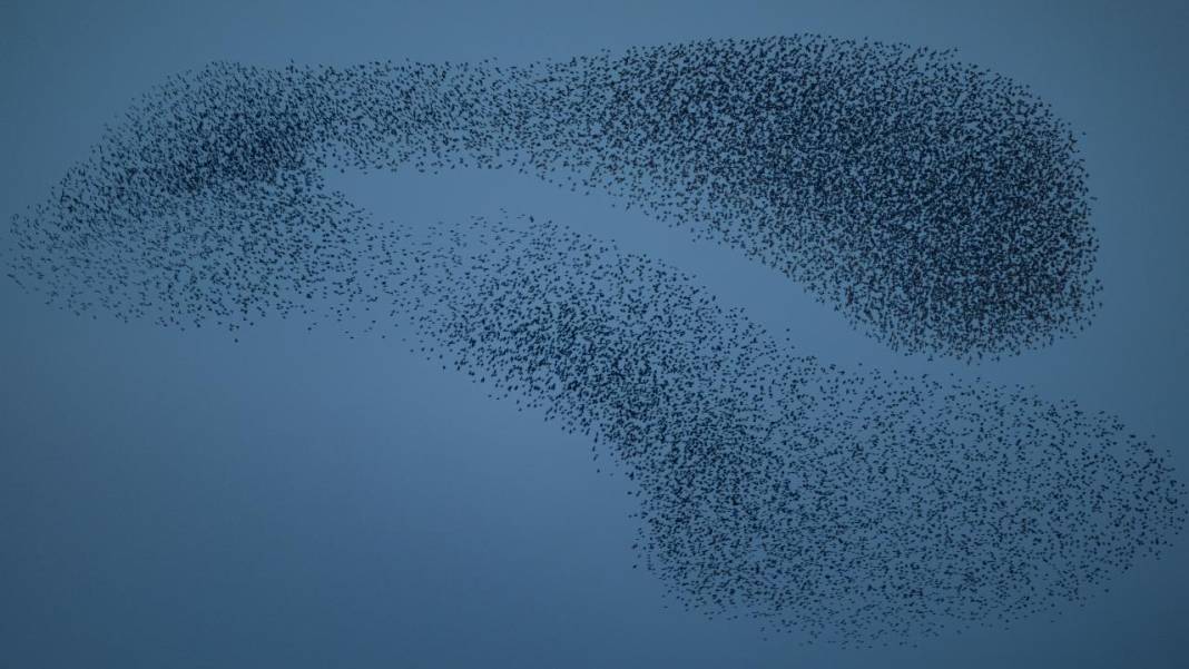 Manyas Kuş Cenneti'nde gün batımı 11