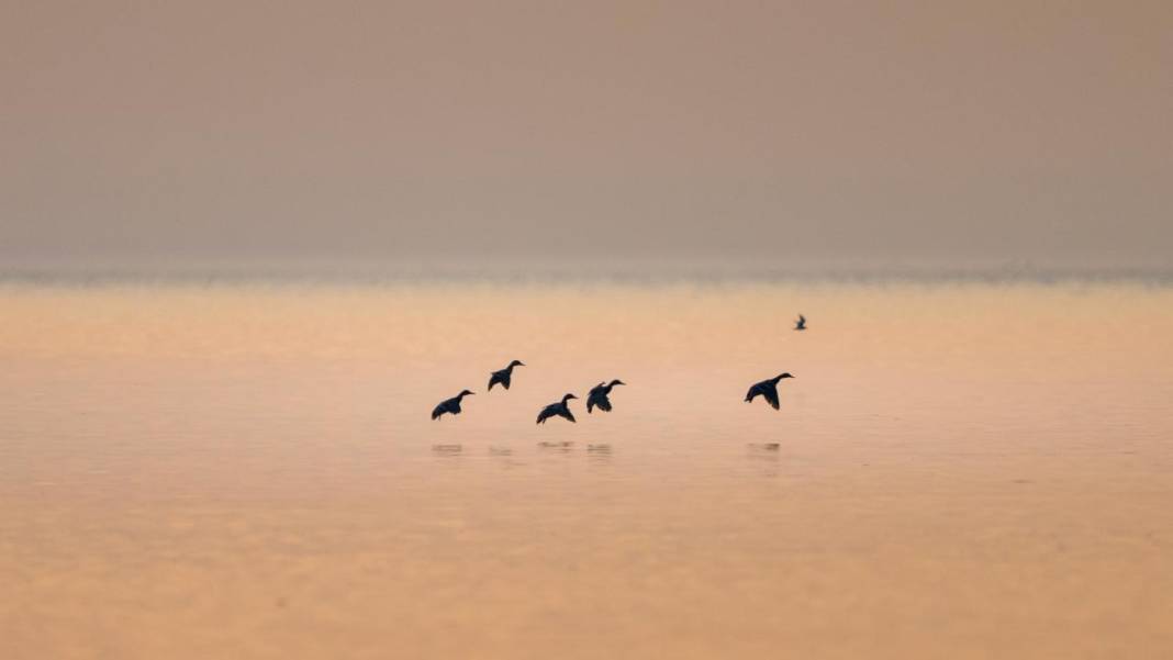 Manyas Kuş Cenneti'nde gün batımı 5
