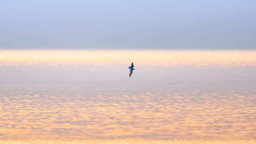 Manyas Kuş Cenneti'nde gün batımı 6