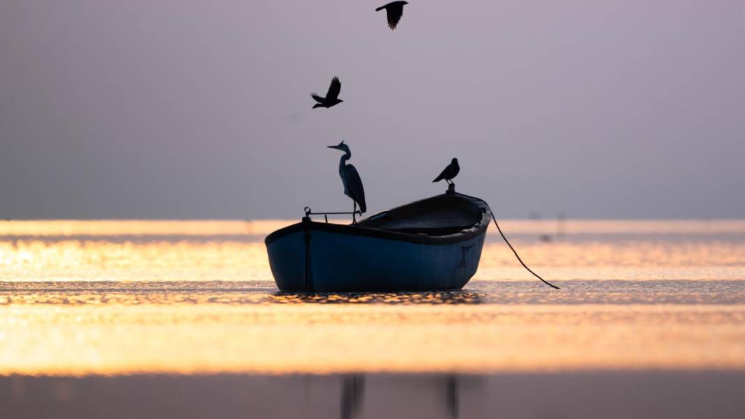 Manyas Kuş Cenneti'nde gün batımı 7