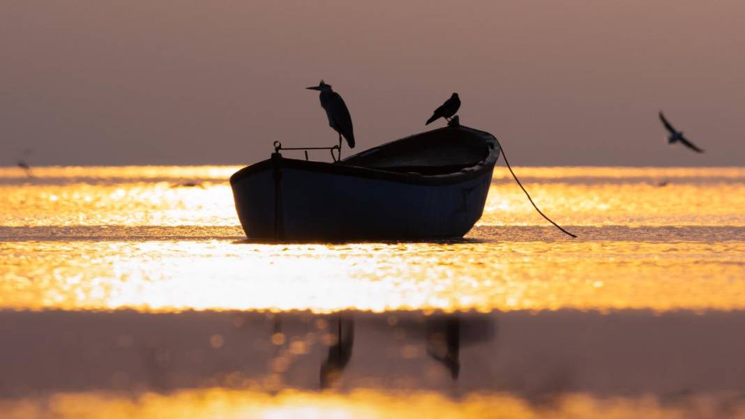 Manyas Kuş Cenneti'nde gün batımı 8