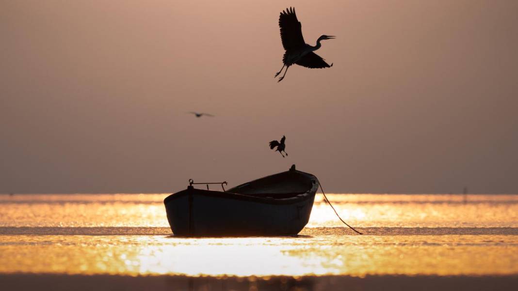 Manyas Kuş Cenneti'nde gün batımı 9