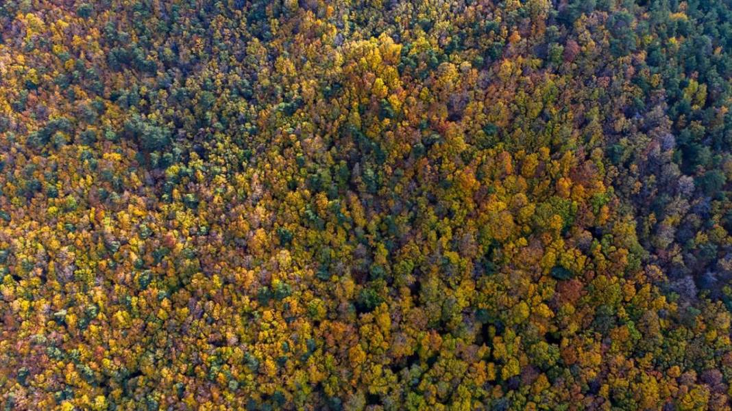 Amasya Boraboy Gölü'nde sonbahar güzelliği 2