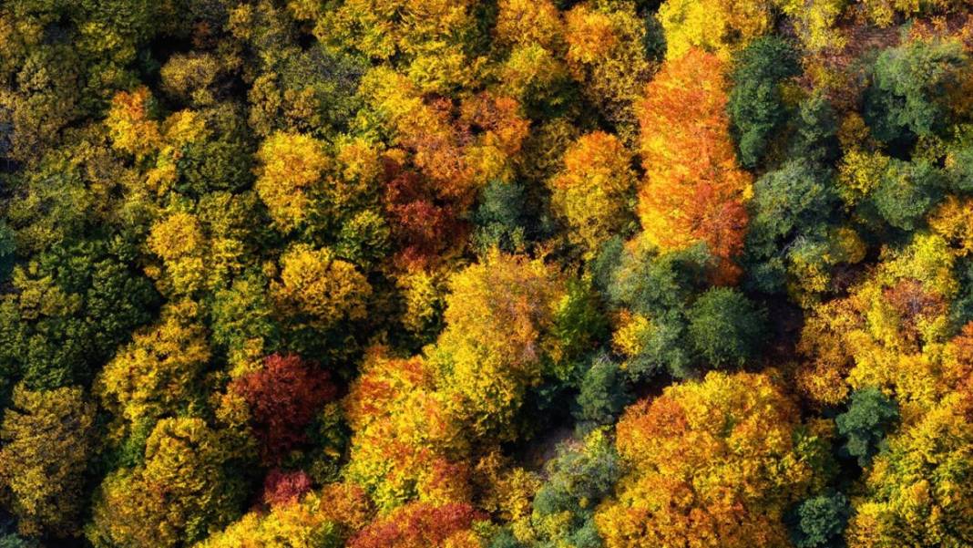 Amasya Boraboy Gölü'nde sonbahar güzelliği 7