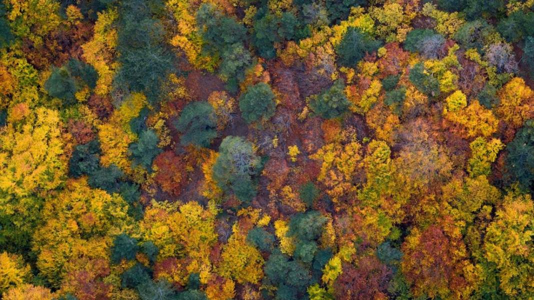 Amasya Boraboy Gölü'nde sonbahar güzelliği 8
