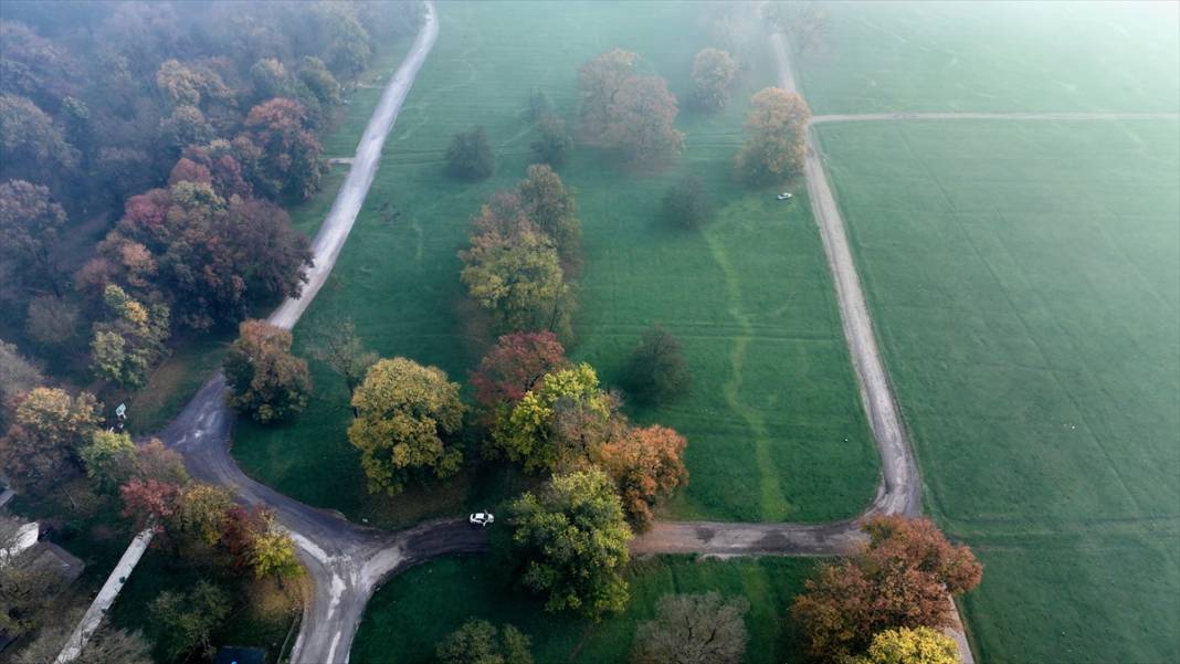 Efteni Gölü Kuş Cenneti'nde sonbahar 2