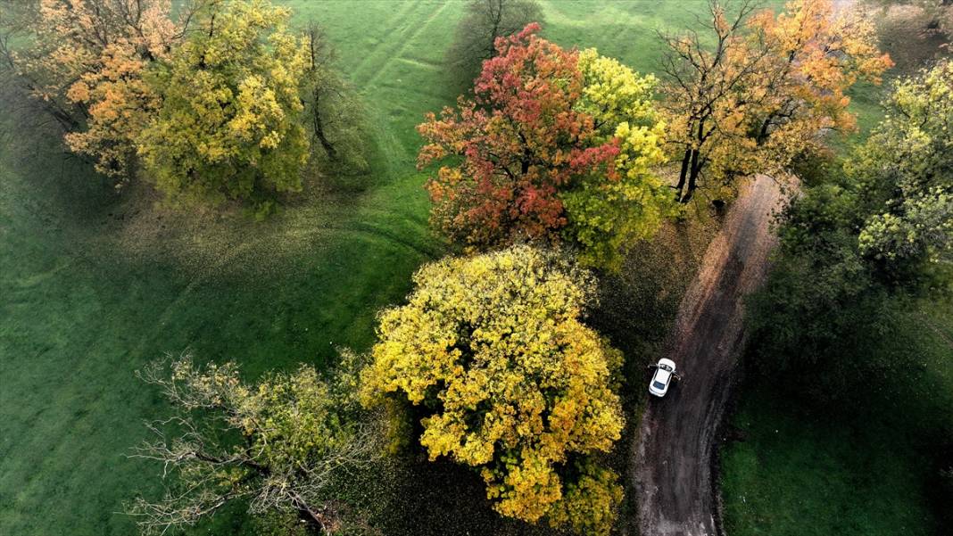Efteni Gölü Kuş Cenneti'nde sonbahar 3